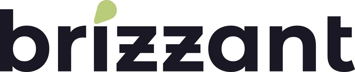 brizzant – full-service-agentur